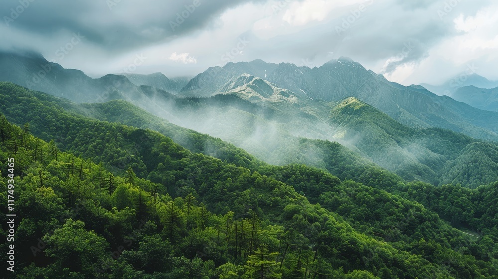 Poster scenic mountain range covered in dense forests with overcast sky