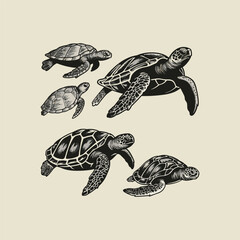 Fototapeta premium Set of turtle engraving design vector template