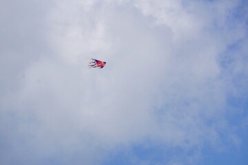 The Landscapes, Ocean, Animals and Flowers