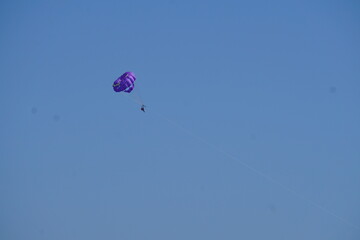 The Landscapes, Ocean, Animals and Flowers