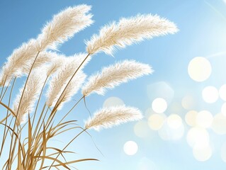 Nature Calming Rhythms Soft white grass against a bright blue sky.