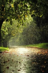 Rainy autumn day, leaves fall on path.