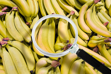 HACCP - HAZARD ANALYSIS AND CRITICAL CONTROL POINTS - Food Safety and Quality Control in food...