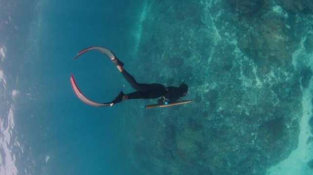 Set of clips of sea spearfishing. Man spearfishes in the sea with speargun. Underwater view of the freediver hunting with speargun.