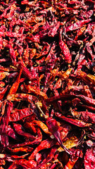 Spicy Hot Red Chili peppers, Spicy, food blog, food concept
