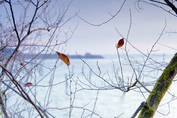 The last hours of autumn