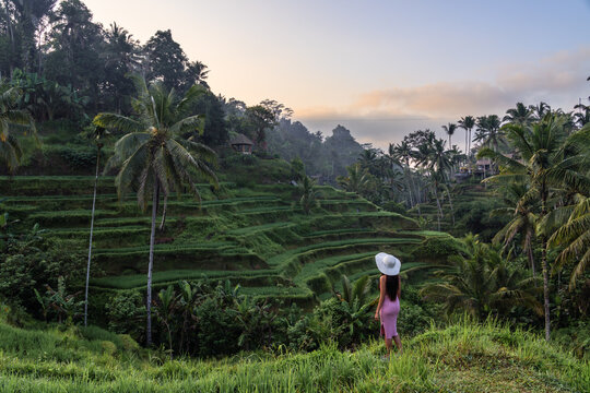 Asian woman at Tegalalang rice terrace at sunset, Ubud, Bali, Indonesia