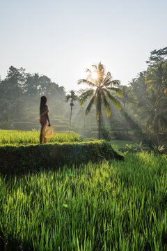 Asian woman at Tegalalang rice terrace, Ubud, Bali, Indonesia