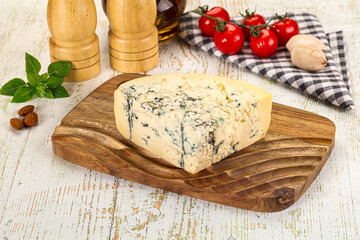 Gourmet blue cheese with mold