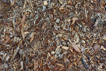 Wood chip background