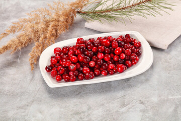 Ripe sweet sour cranberry heap