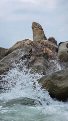 Thailand, Hin Ta und Hin Yai, Meer und Strand auf Koh Samui
