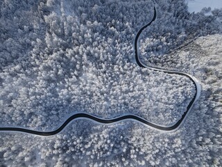 Winding asphalt road between lush snow forest. View from drone of amazing winter beauty. Travel, transportation, environment