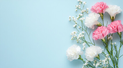 Minimalist branch of magnolia flowers on light blue background for spring theme, White flowers on a light blue background with subtle texture, flowers,