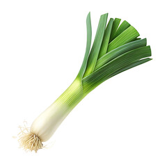leek isolated PNG Clipart with transparent background