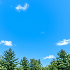 Obraz premium Vibrant Sky, Lush Green Trees Background Image