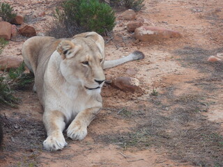 Game Reserve Travels 1 