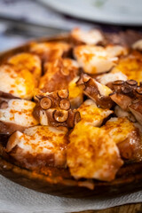 Galician style octopus, Santiago de Compostela, province of La Coruña, Galicia,