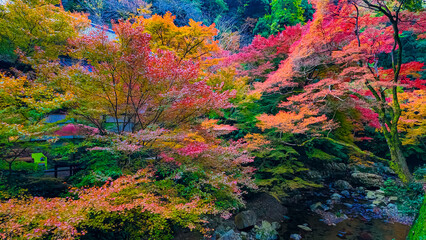 Chachoengsao, Thailand, November 11, 2024, Wat Saman Rattanaram, Majestic Guan Yin Statue in Thailand