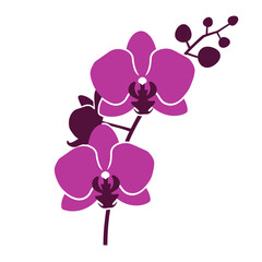 Minimalist Mid Century Modern Flower Vector Illustration on White Background.