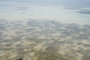 lose - up view of clear shallow water with rocks and sand on a tropical beach shoreline