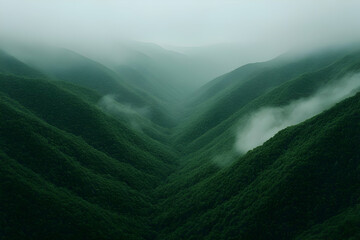 Misty Green Mountain Valley Illustration