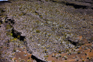 Volcanic Terrain Reunion Island