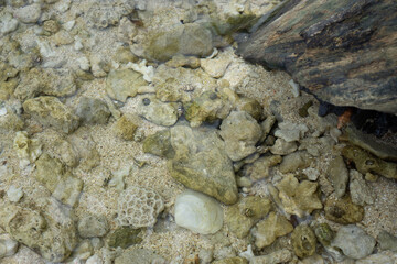 lose - up view of clear shallow water with rocks and sand on a tropical beach shoreline