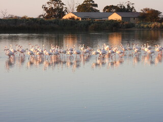Game Reserves in SA 