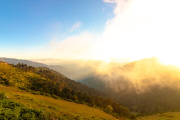 Mountain range and fog at sunset. Landscape with fog and forest covered mountain