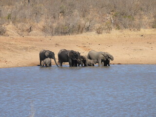 Game Reserves in SA 