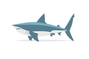 Fototapeta premium shark in the sea