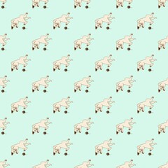 The cat lies on its back with its fists slightly clenched to show its cuteness