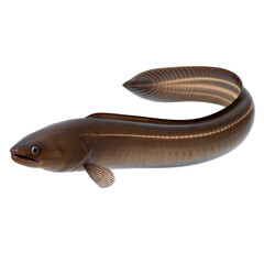 American Eel AI Generated Image