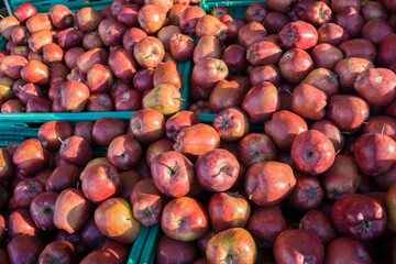 Bright Red Apples Stacked in Harmony
