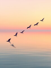 Fototapeta premium Korean winter migratory birds 