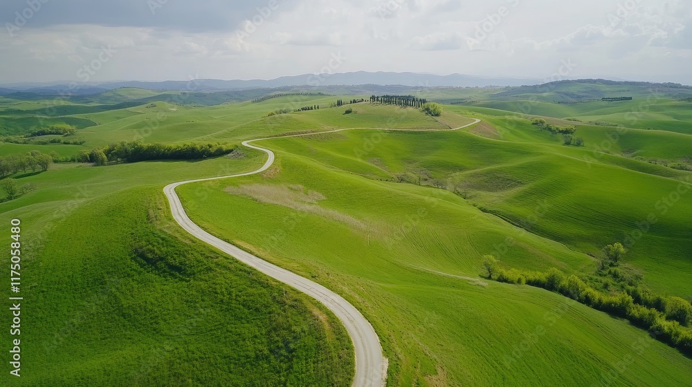 Poster aerial view of a winding road through vibrant green hills showcasing the beauty of spring with ample