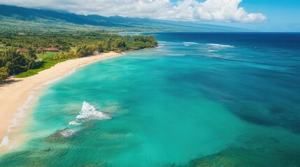 Fototapeta premium Aerial view of a pristine tropical beach featuring sandy shoreline and turquoise waters under a bright sunny sky