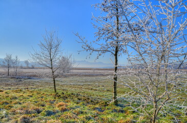Winterlandschaft mit strahlend blauem Himmel, vereisten Bäumen und Bergpanorama am Horizont