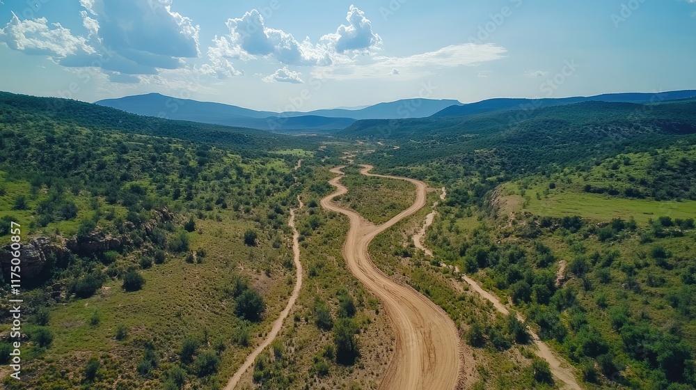 Poster aerial view of meandering dirt river in vibrant green landscape with expansive copyspace for text pl