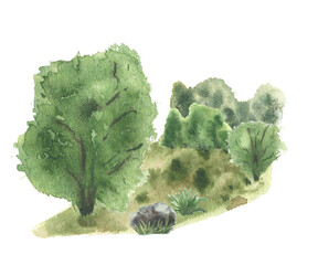 Woodland scenery of green trees, stone on grass watercolor illustration hand drawn. Dense foliage of shrubs backdrop and forest glade isolated. Lush greenery nature sketch painted for landscape design