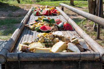 Fruits are the dessert dish for the elephants in a sanctuary