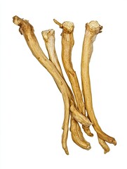 Dried plant roots isolated on white background, for herbal medicine or culinary use.