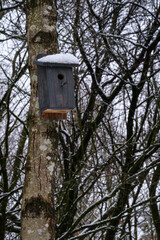 bird house on tree in winter