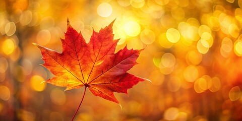 Fototapeta premium Red Maple Leaf with Bokeh Background - Autumn Nature Stock Photo