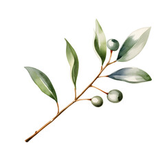 Obraz premium Minimalist Watercolor Painting of Mistletoe Sprig on White Background