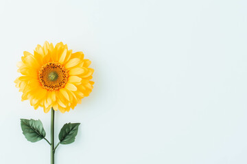 Bright yellow sunflower against minimalist light blue background