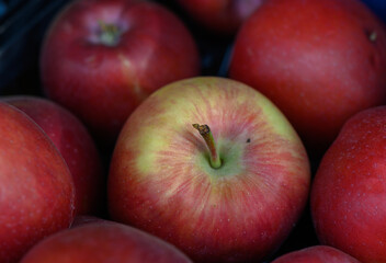 Vibrant apples piled together in a colorful display at a local market