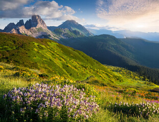 Generated image　薬草