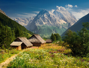 Generated image　薬草